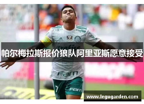 帕尔梅拉斯报价狼队阿里亚斯愿意接受